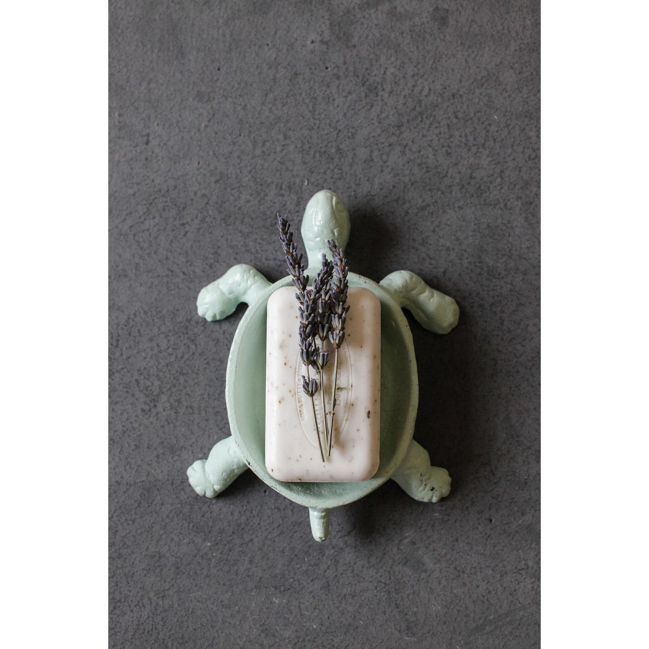 Distressed Cast Iron Turtle Soap Dish